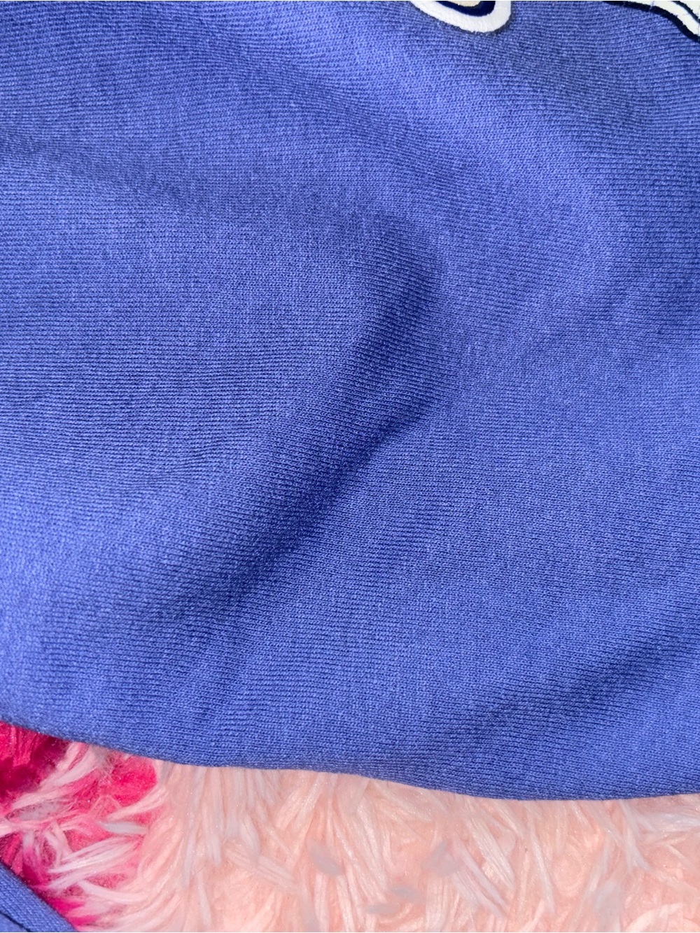 Champion Royal Blue Men’s Shorts